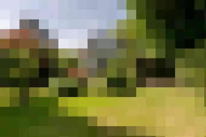 Dorpsstraat 64 Moordrecht thumbnail 8