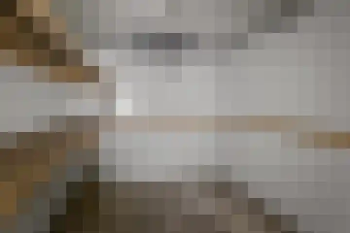 Dorpsstraat 64 Nieuwkoop thumbnail 33