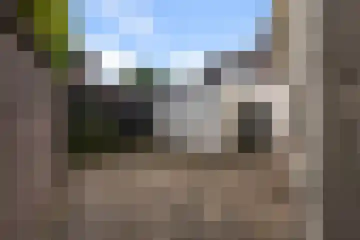 Dorpsstraat 64 Nieuwkoop thumbnail 36