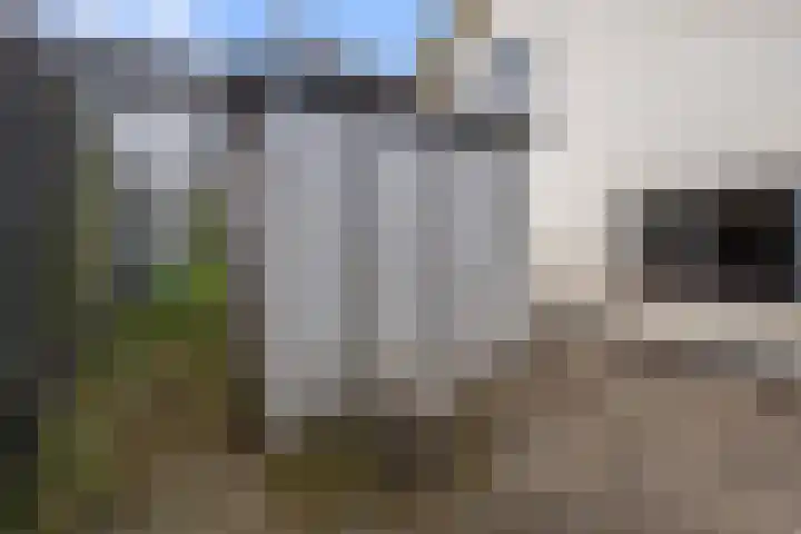 Dorpsstraat 64 Nieuwkoop thumbnail 37