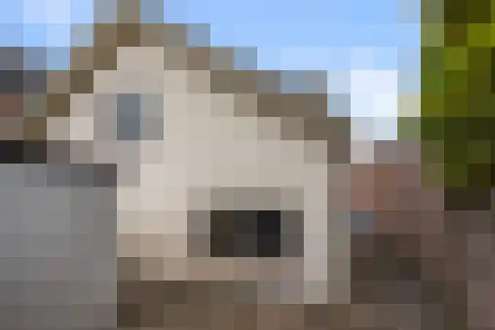 Dorpsstraat 64 Nieuwkoop thumbnail 38