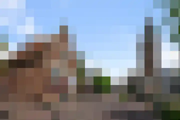 Dorpsstraat 64 Nieuwkoop thumbnail 40