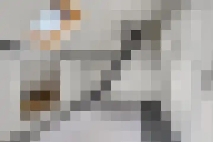 Dorpsstraat 64 Renswoude thumbnail 39