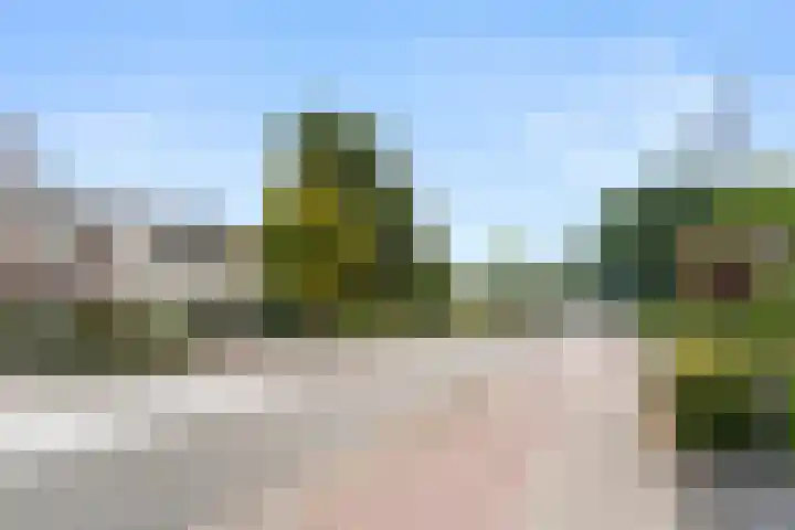 Dorpsstraat 64 Renswoude thumbnail 44