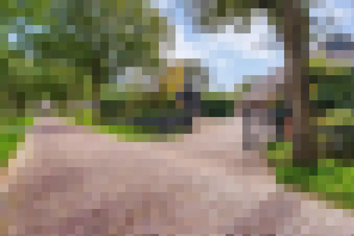 Dorpsstraat 64 Uffelte thumbnail 11