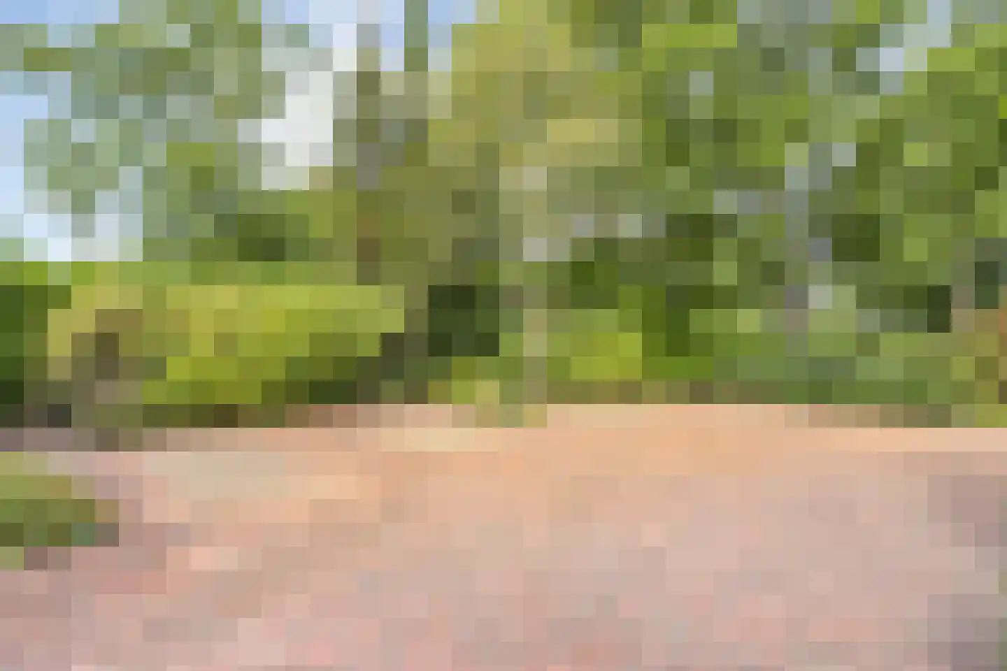 Dorpsstraat 64 Uffelte thumbnail 16