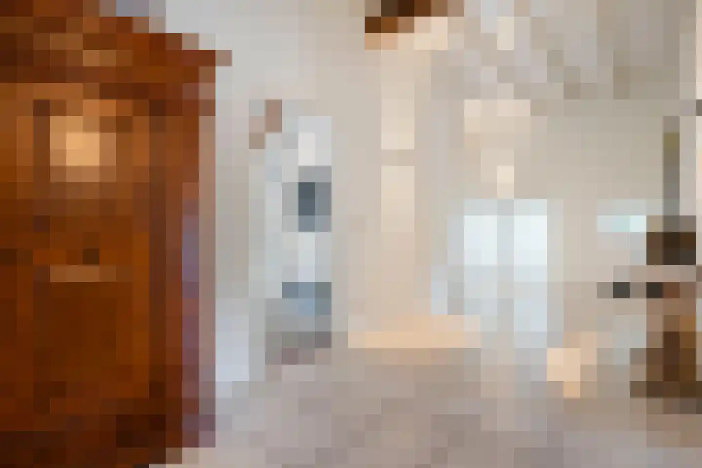 Dorpsstraat 64 Uffelte thumbnail 23