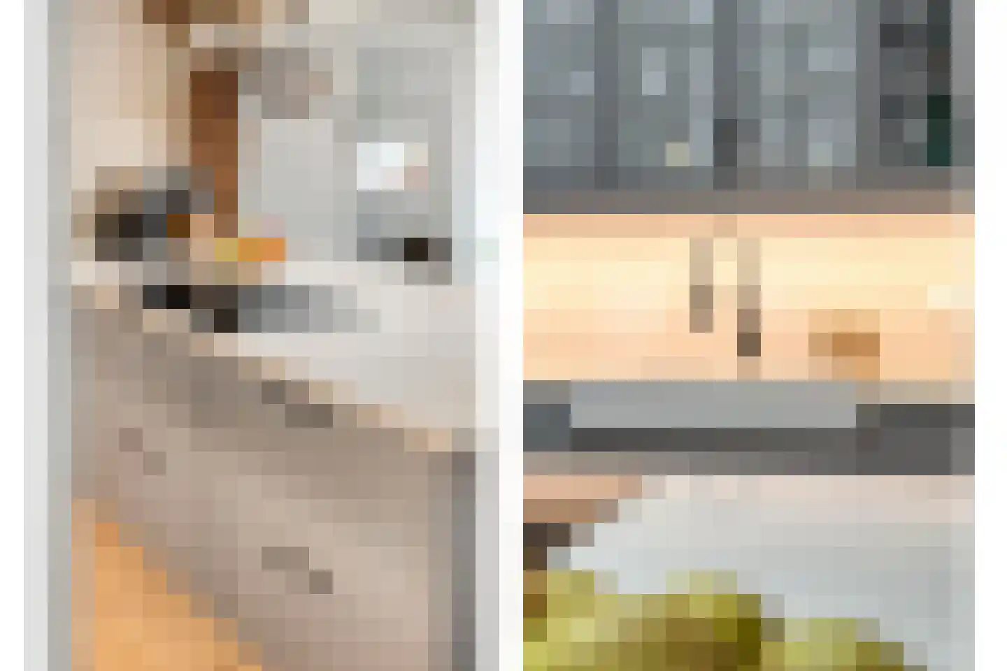 Dorpsstraat 64 Uffelte thumbnail 34