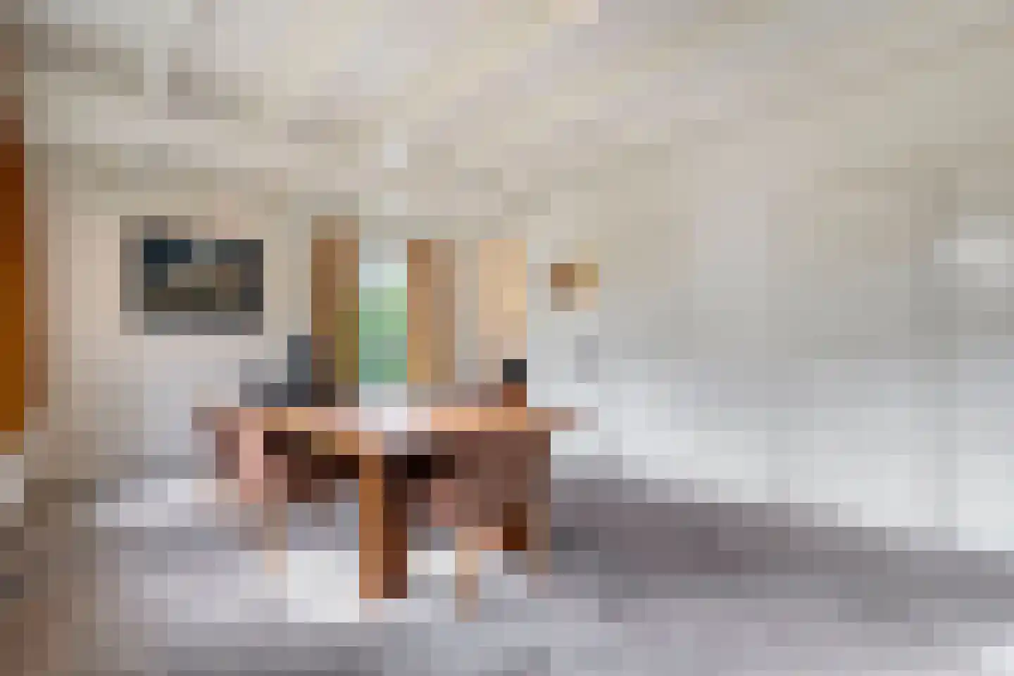 Dorpsstraat 64 Uffelte thumbnail 42