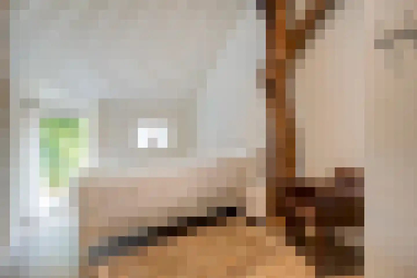 Dorpsstraat 64 Uffelte thumbnail 50