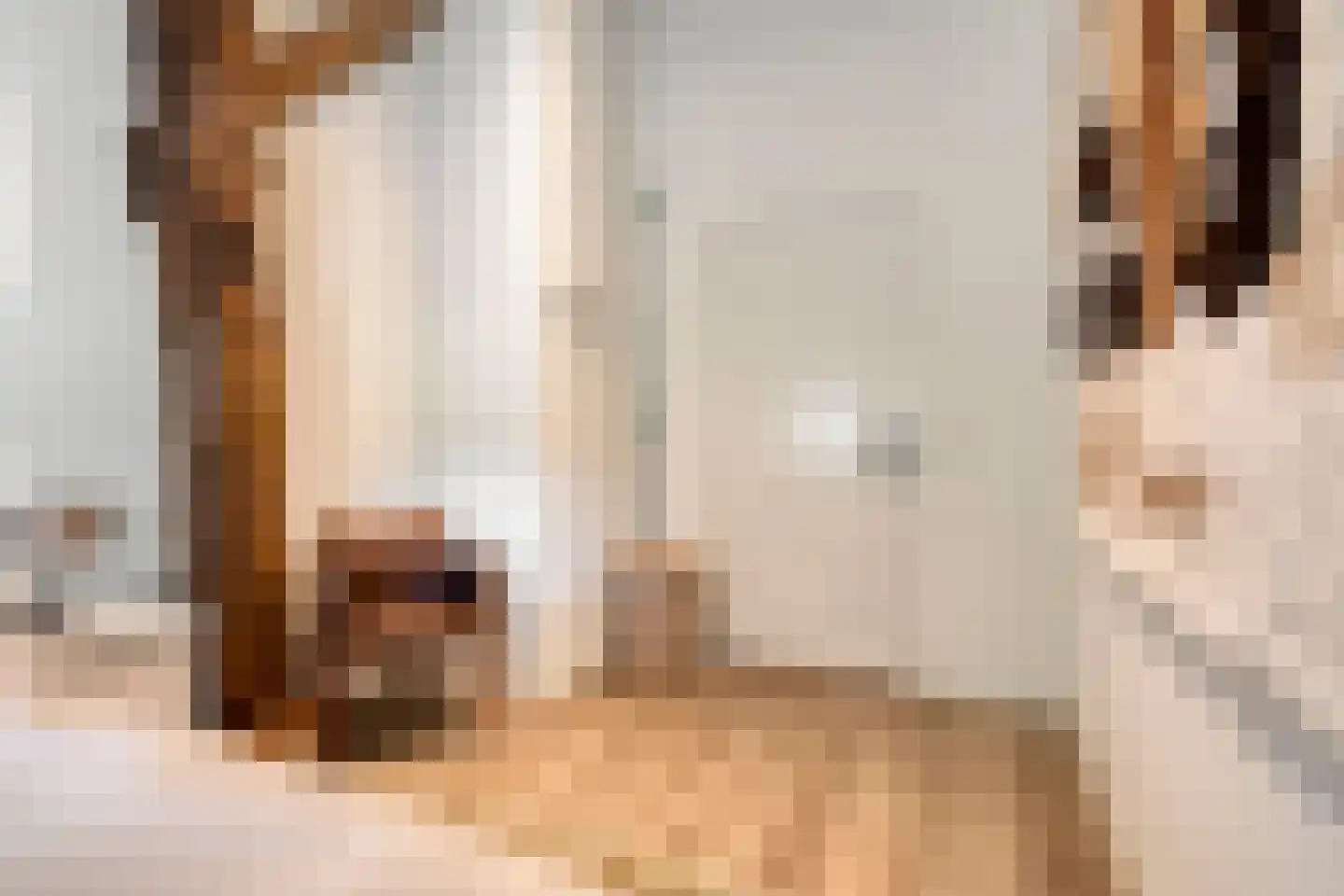 Dorpsstraat 64 Uffelte thumbnail 51