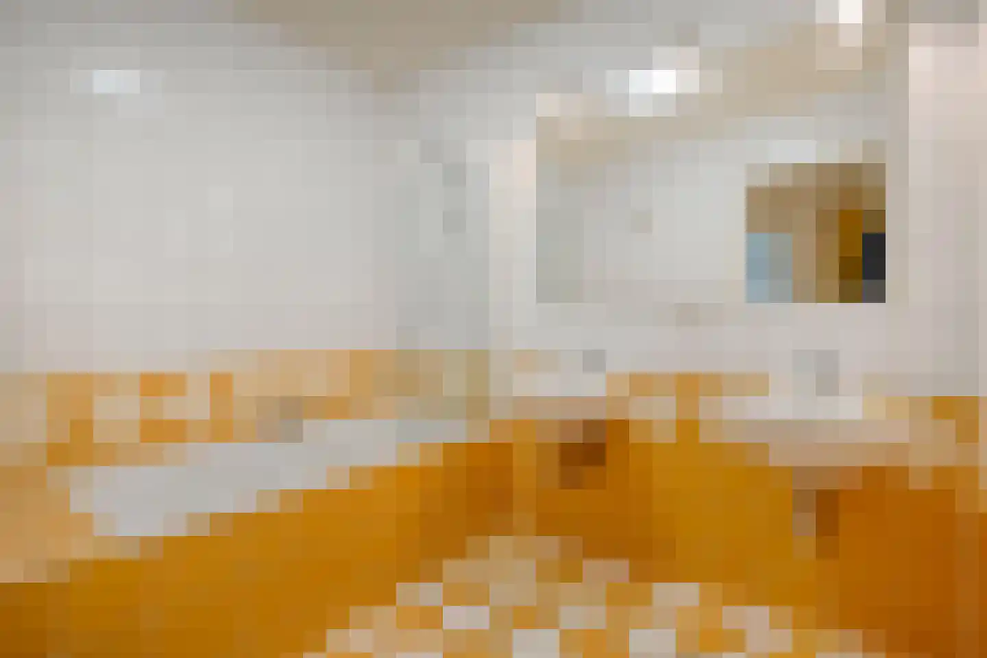 Dorpsstraat 64 Uffelte thumbnail 56