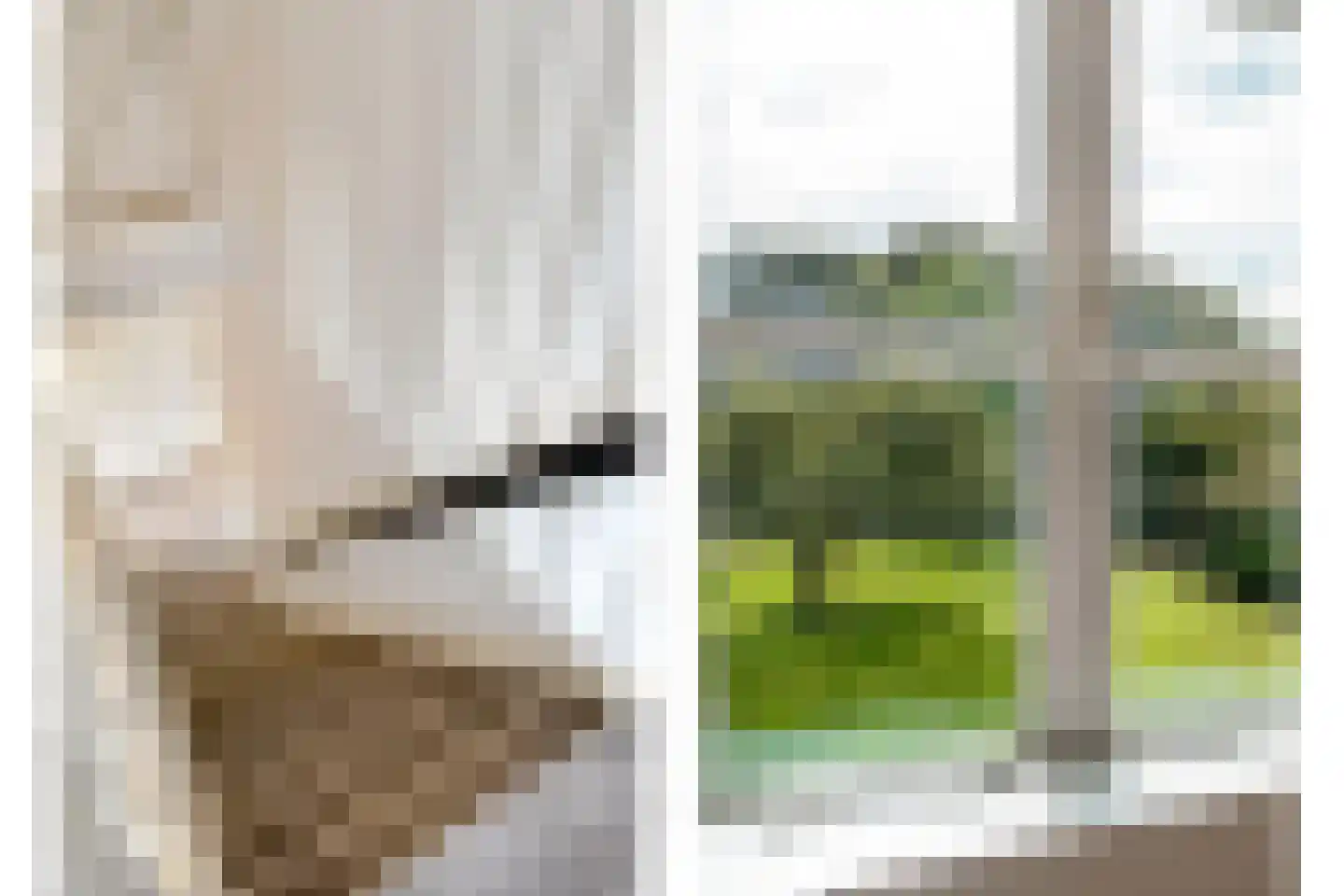 Dorpsstraat 64 Uffelte thumbnail 60