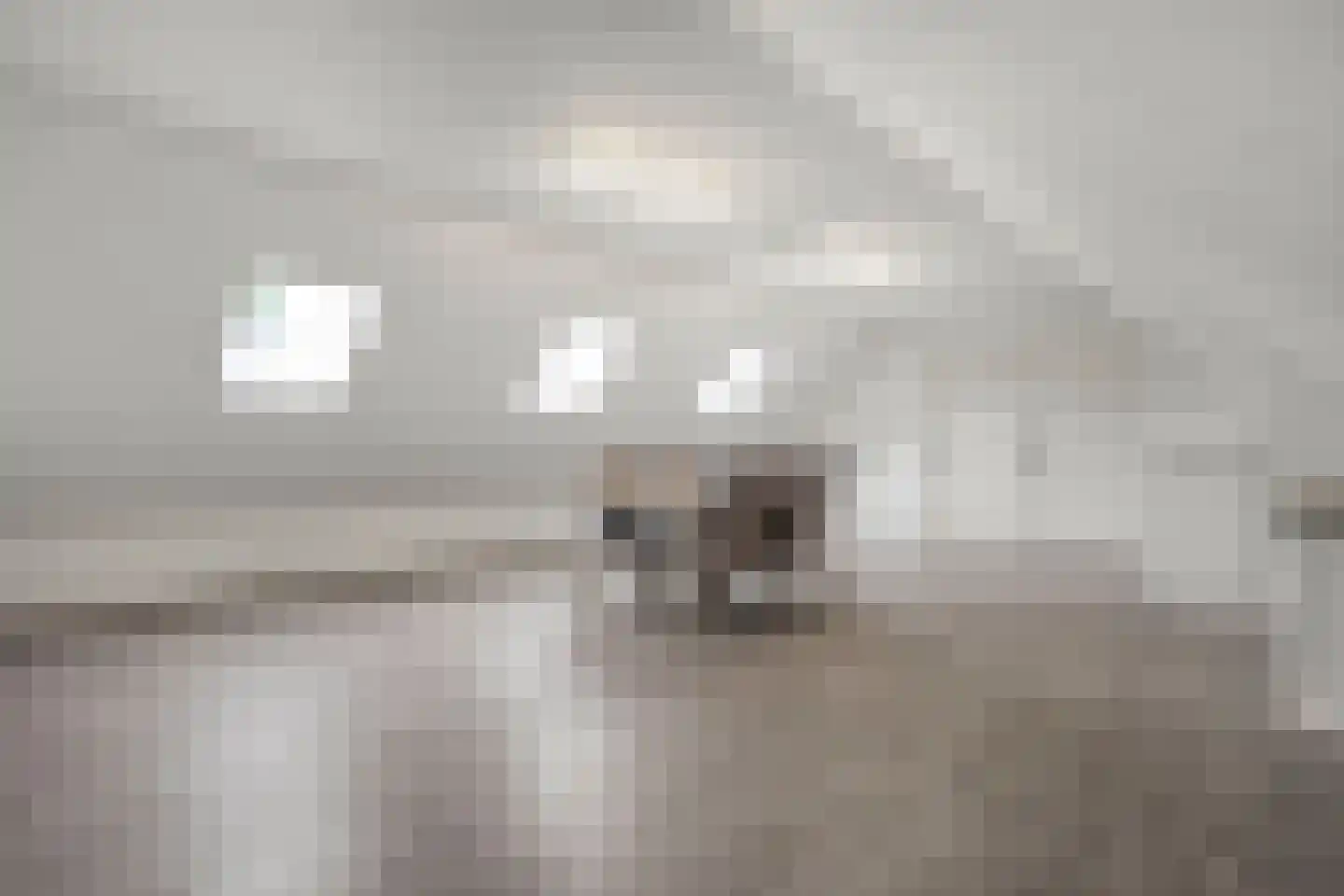 Dorpsstraat 64 Uffelte thumbnail 69