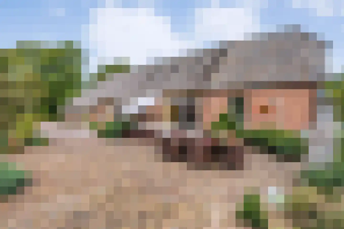 Dorpsstraat 64 Uffelte thumbnail 73