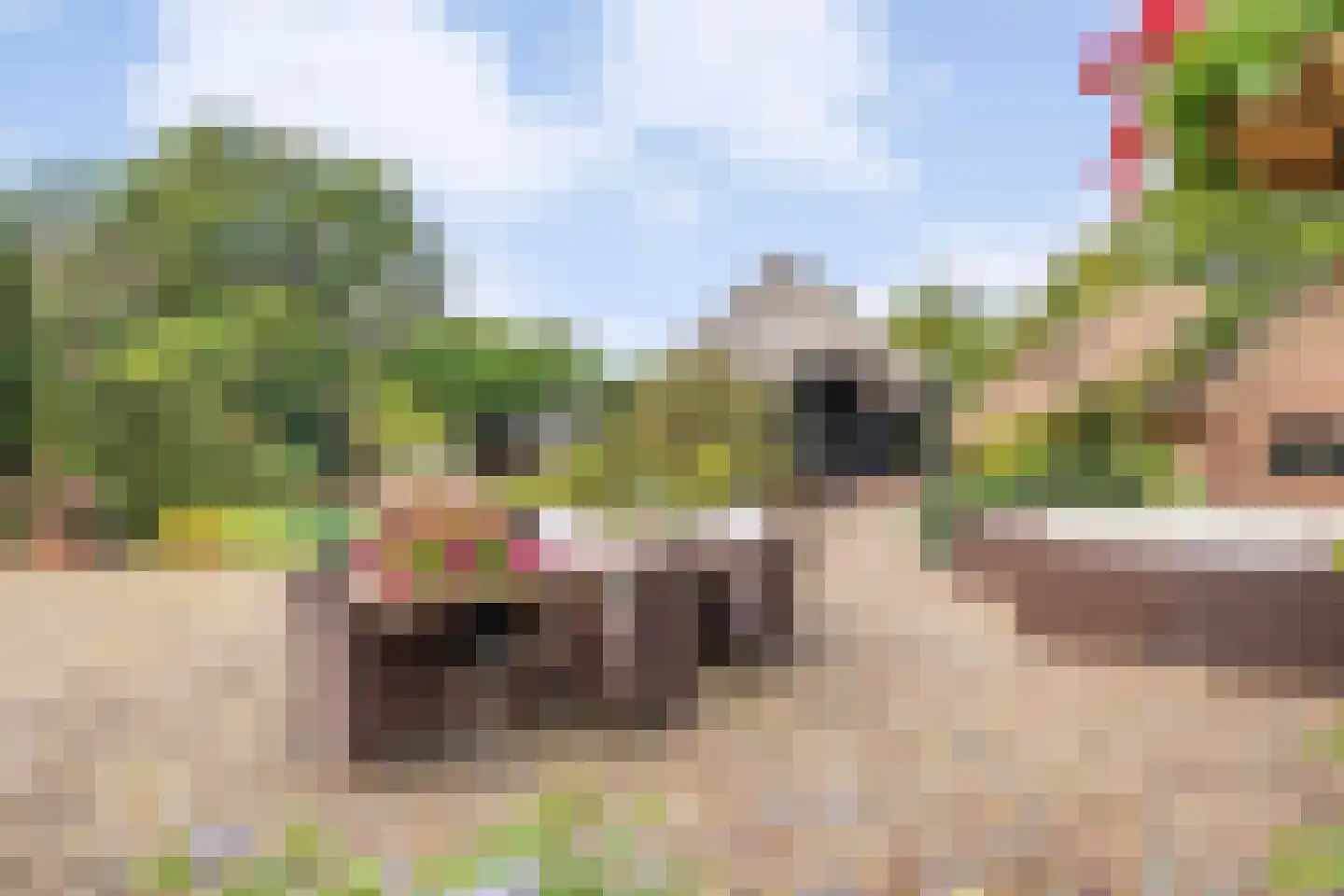 Dorpsstraat 64 Uffelte thumbnail 74