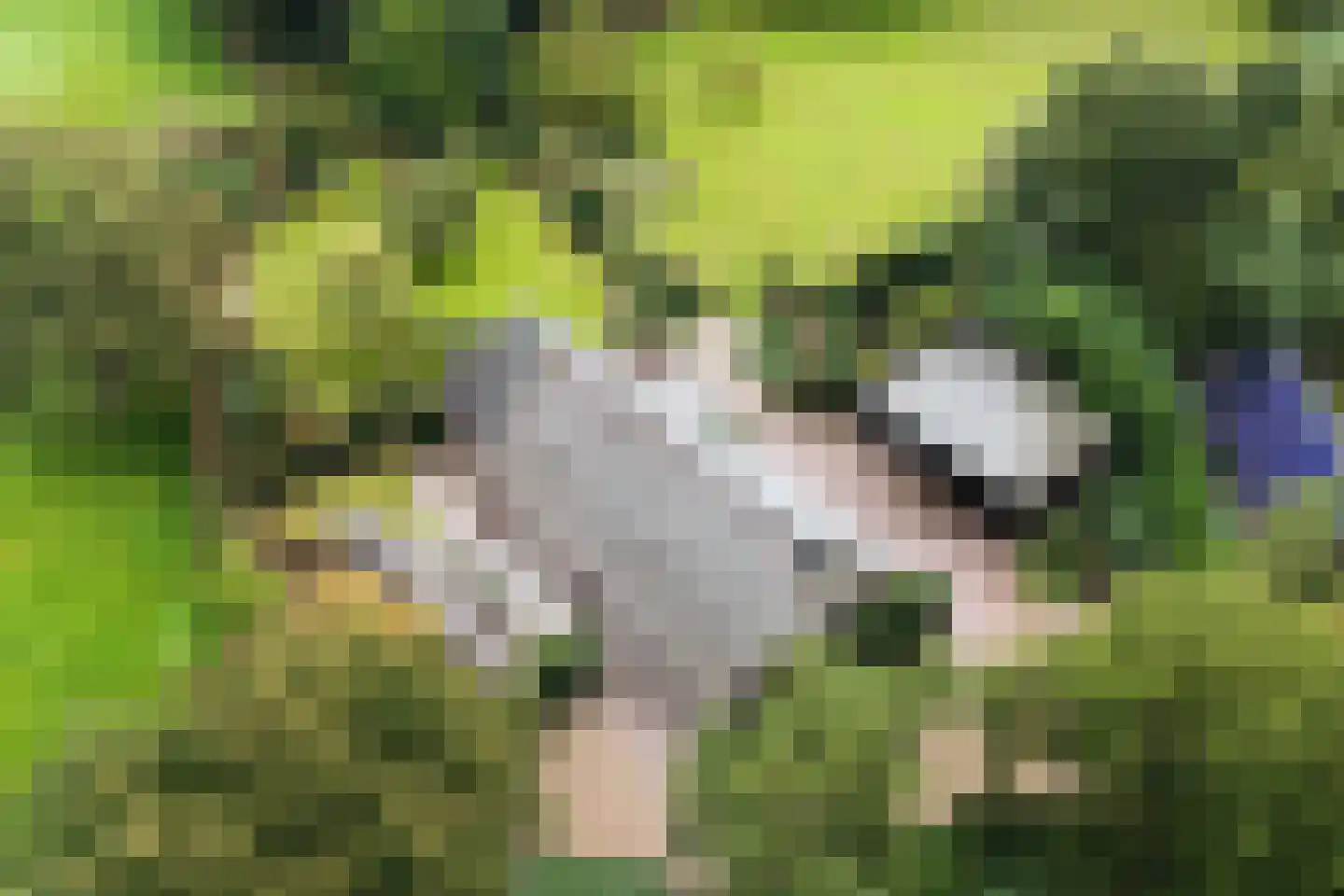 Dorpsstraat 64 Uffelte thumbnail 8