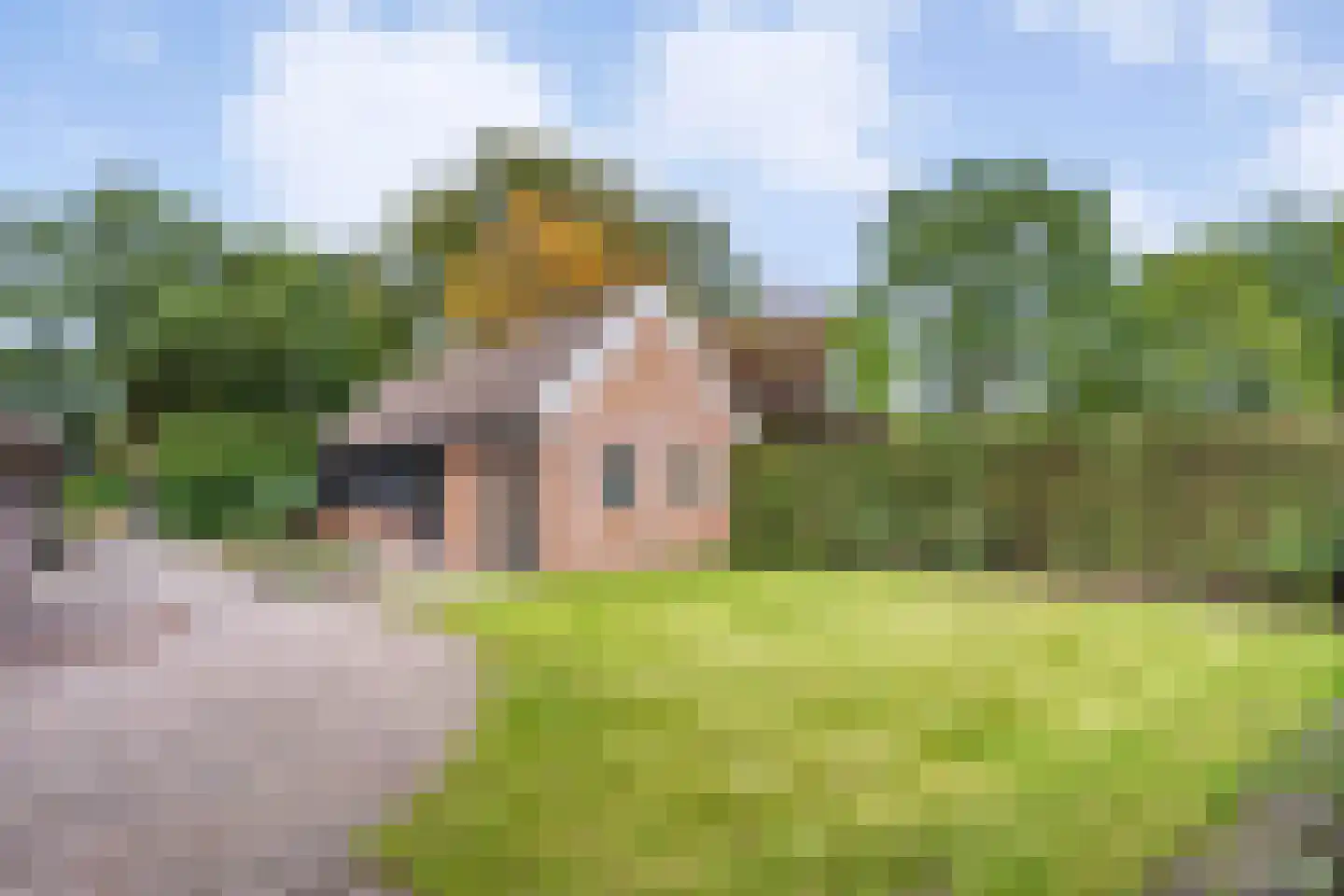 Dorpsstraat 64 Uffelte thumbnail 82