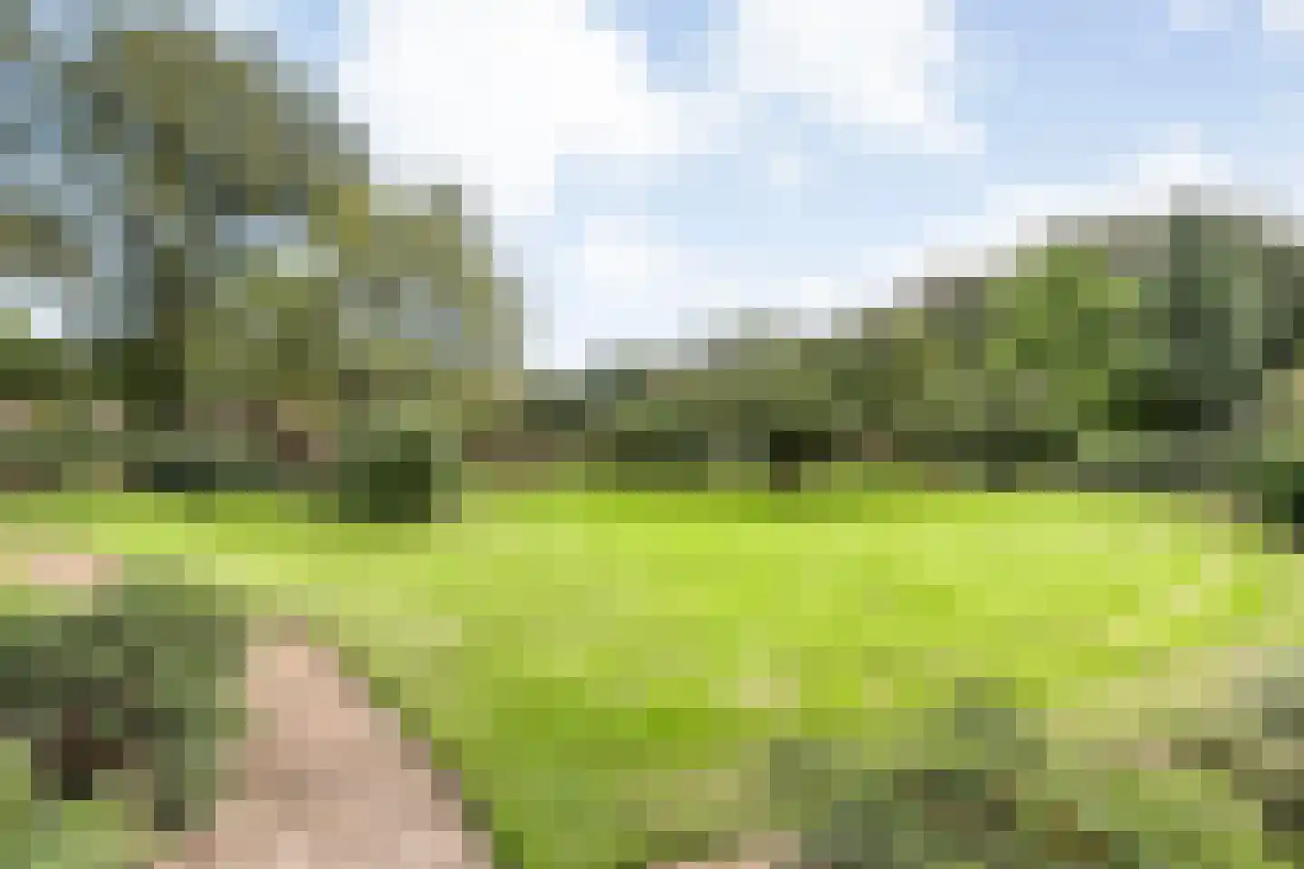 Dorpsstraat 64 Uffelte thumbnail 83