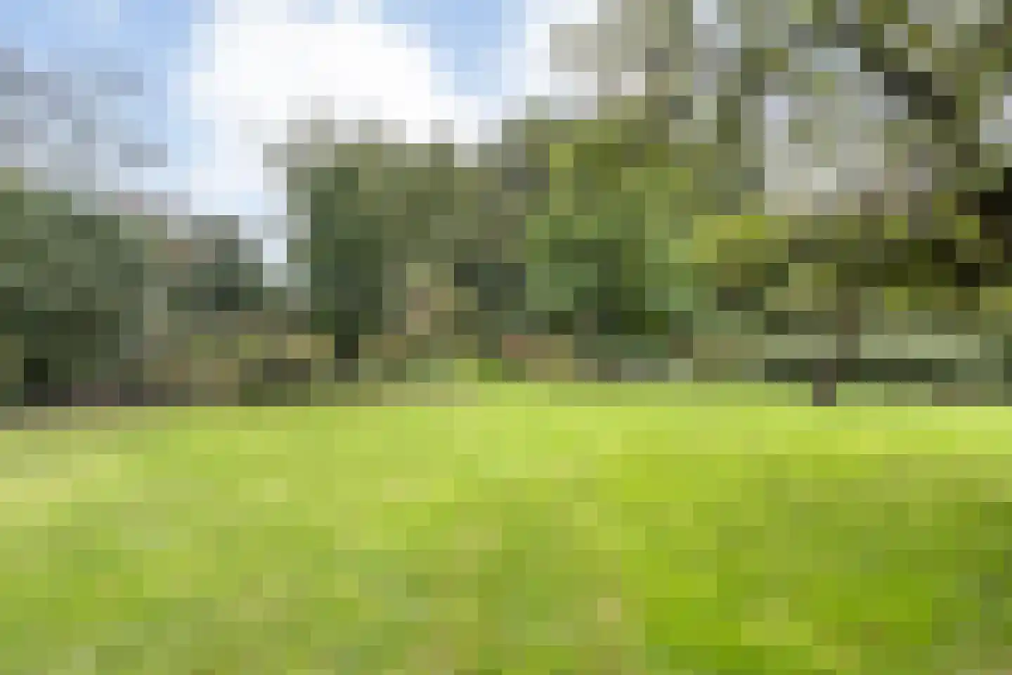 Dorpsstraat 64 Uffelte thumbnail 84
