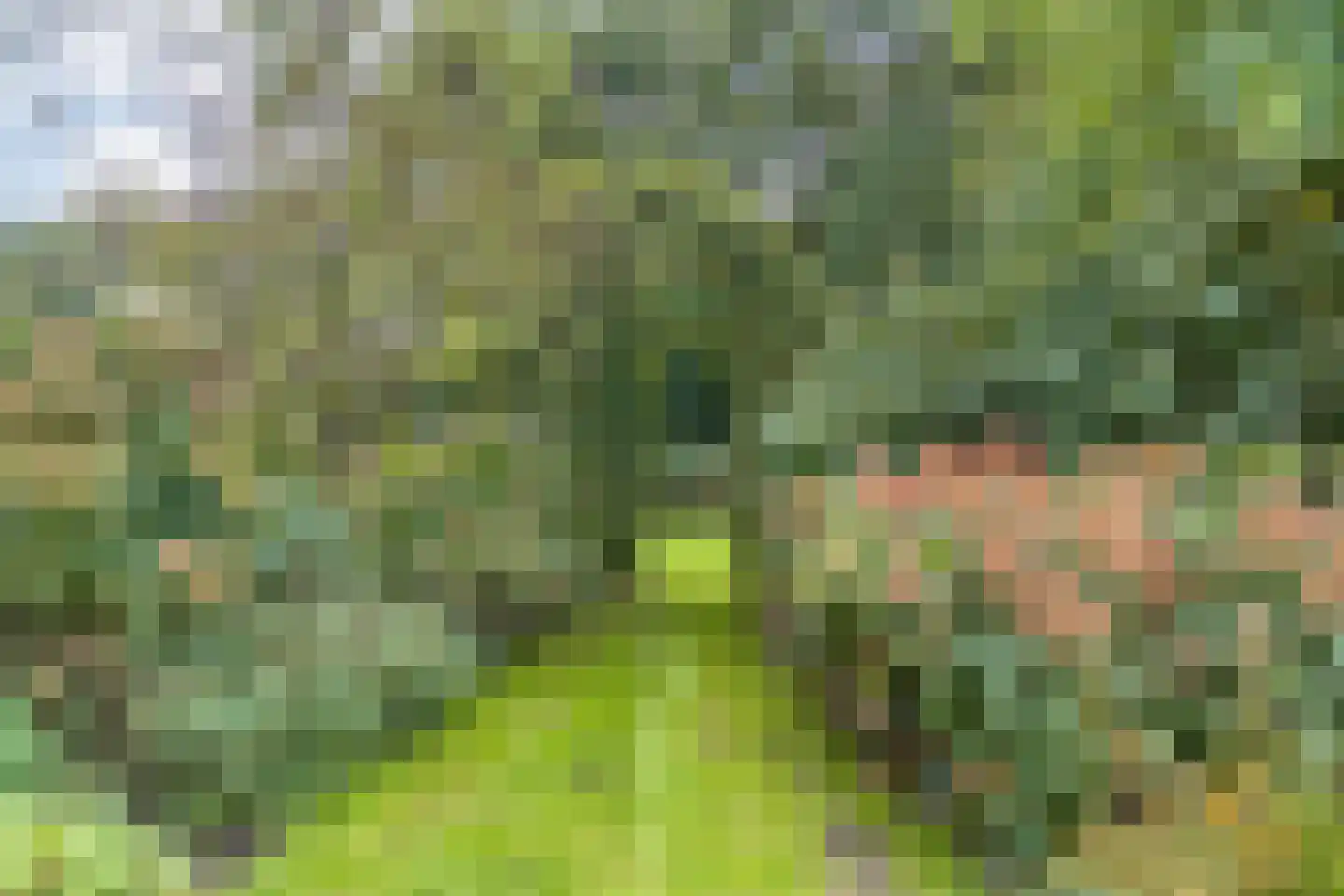 Dorpsstraat 64 Uffelte thumbnail 85