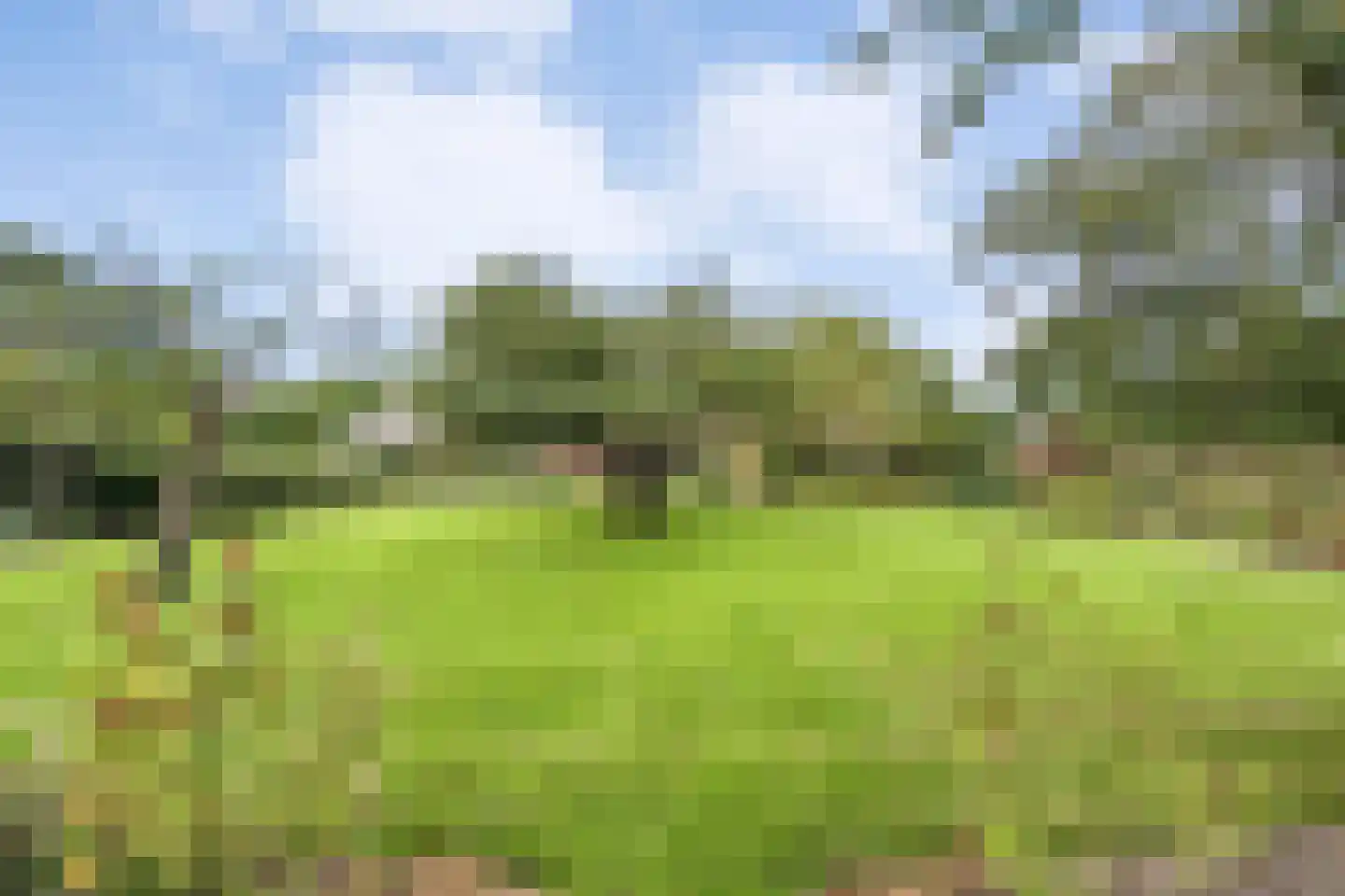 Dorpsstraat 64 Uffelte thumbnail 86