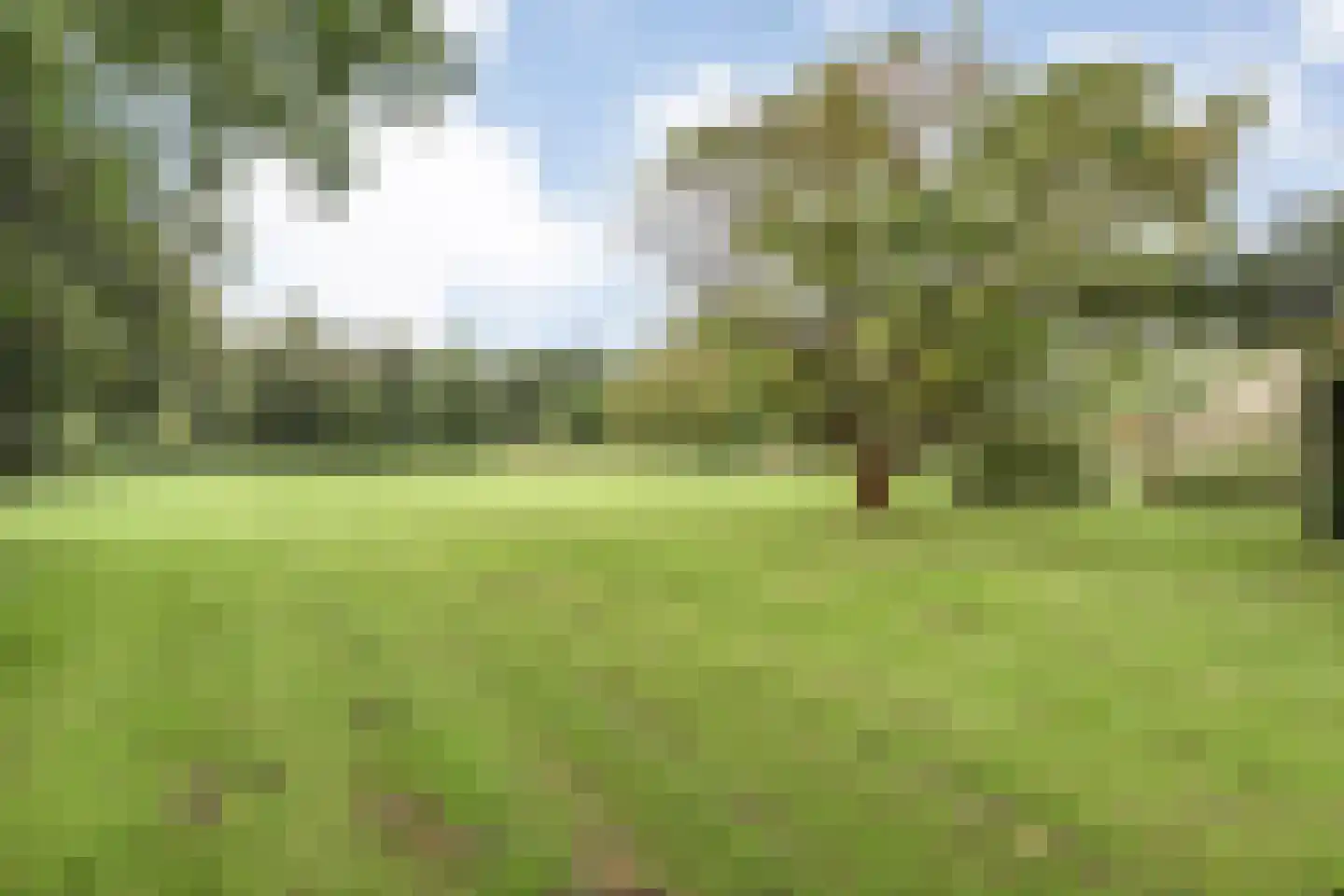 Dorpsstraat 64 Uffelte thumbnail 87