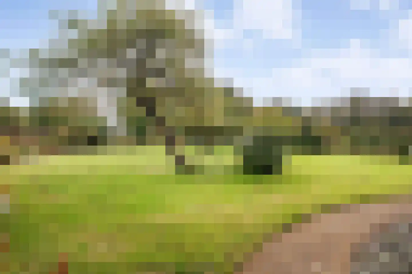 Dorpsstraat 64 Uffelte thumbnail 90