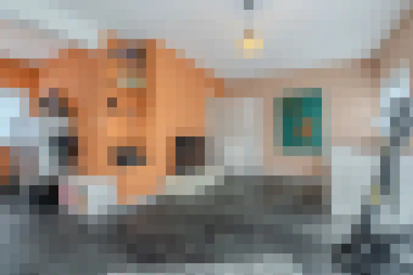 Dorpsstraat 64 Zuidlaarderveen thumbnail 32