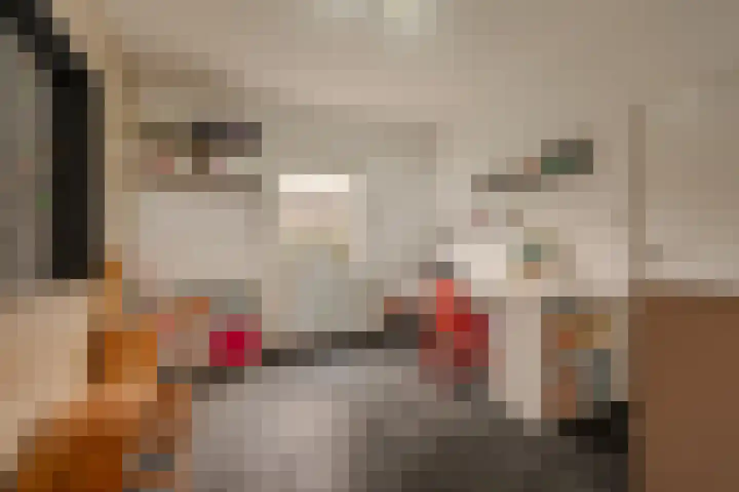 Dorpsstraat 64 Zuidlaarderveen thumbnail 36
