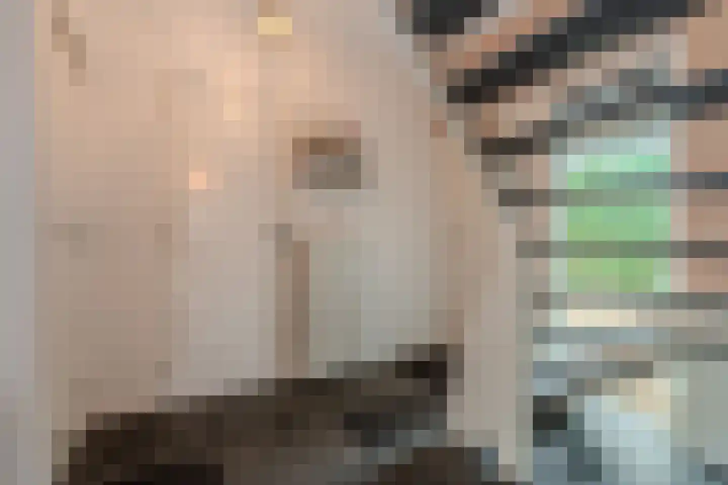 Dorpsstraat 64 Zuidlaarderveen thumbnail 41