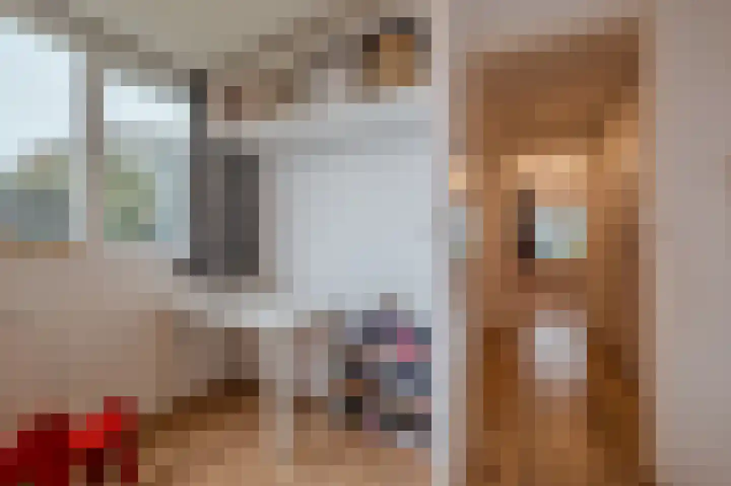 Dorpsstraat 64 Zuidlaarderveen thumbnail 48