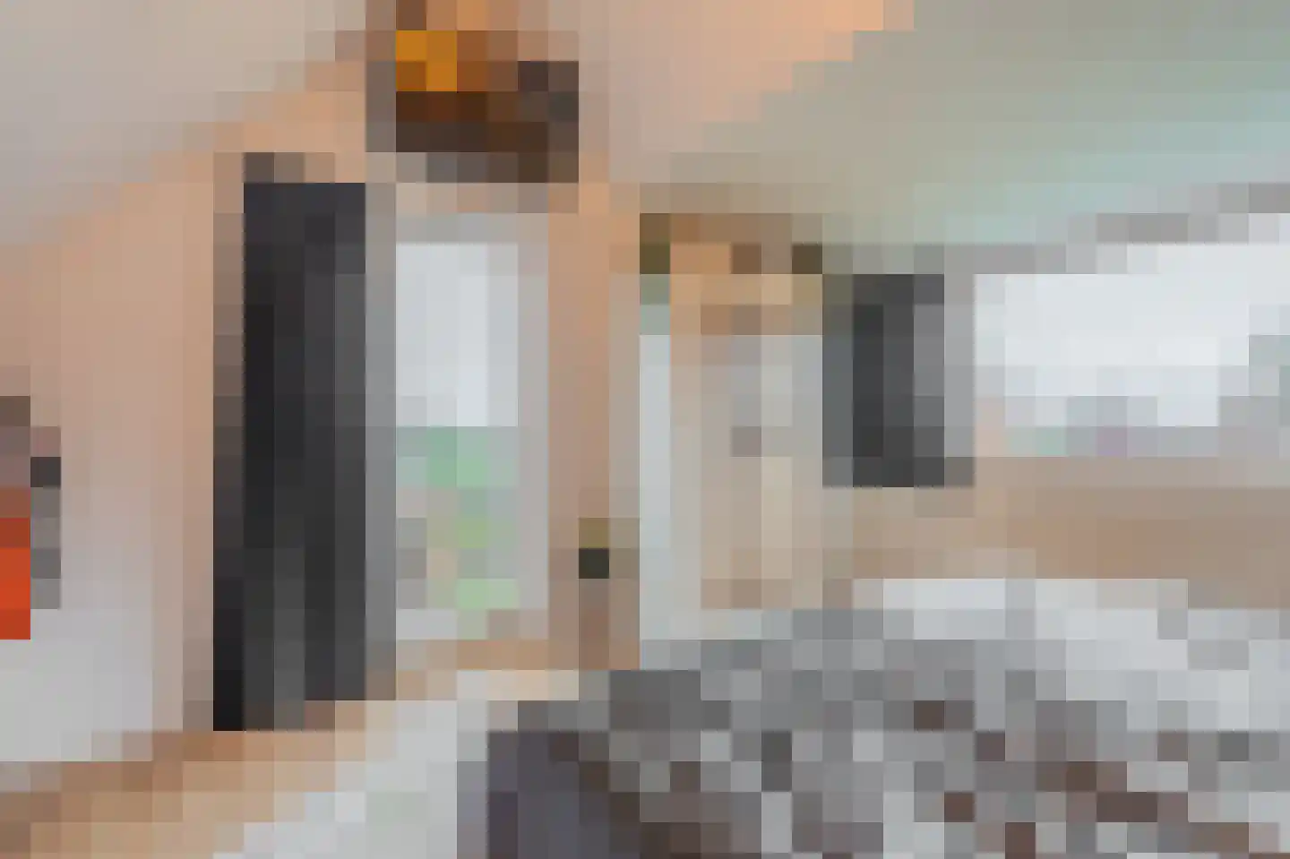 Dorpsstraat 64 Zuidlaarderveen thumbnail 58