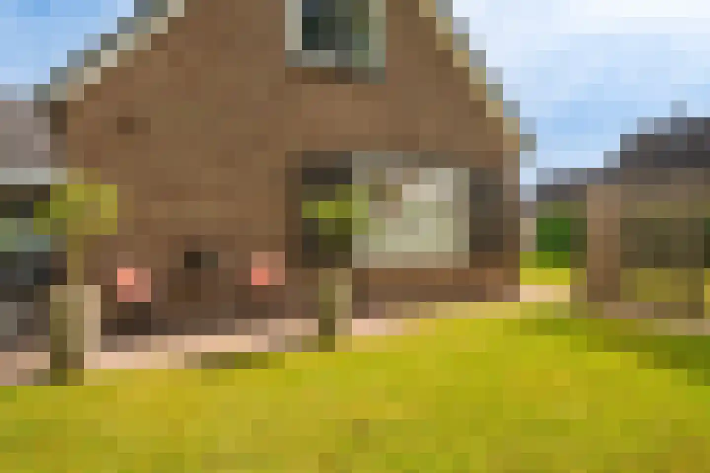 Dorpsstraat 64 Zuidlaarderveen thumbnail 64
