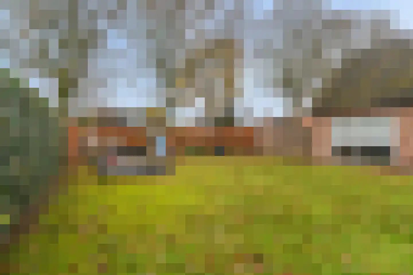 Dorpsstraat 64 Zuidlaarderveen thumbnail 74