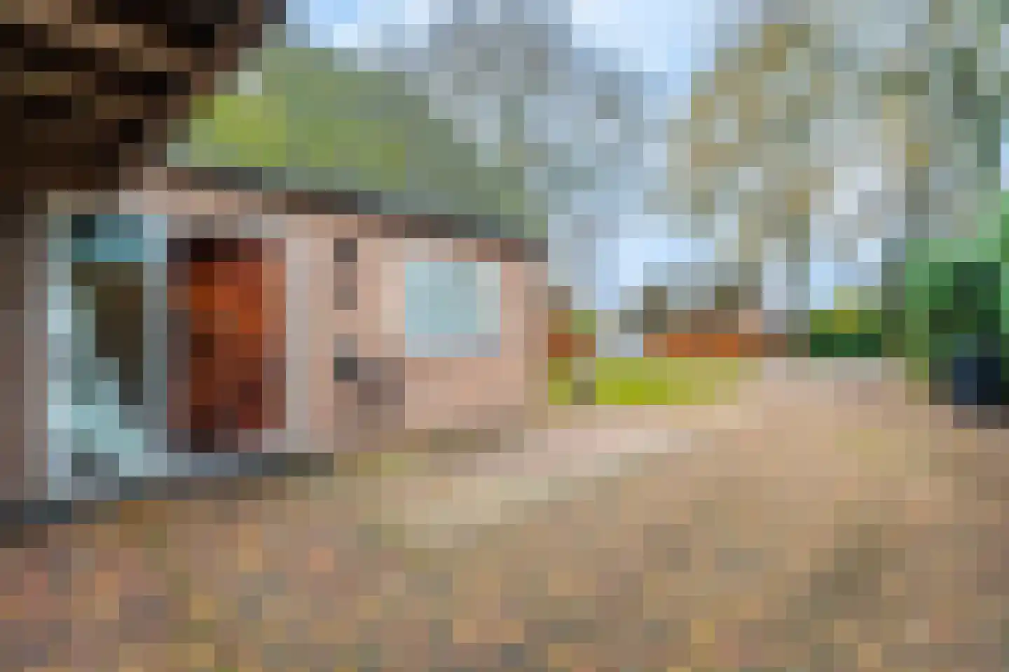 Dorpsstraat 64 Zuidlaarderveen thumbnail 8