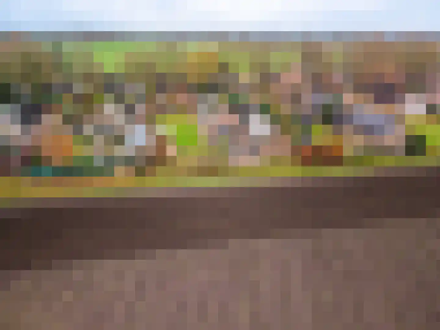 Dorpsstraat 64 Zuidlaarderveen thumbnail 82