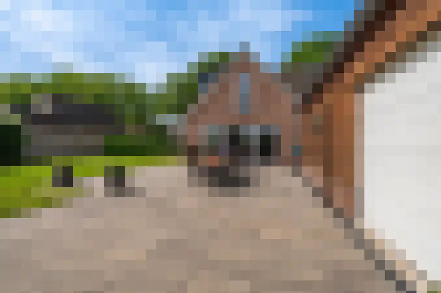 Dorpsstraat 64 Zuidlaarderveen thumbnail 82
