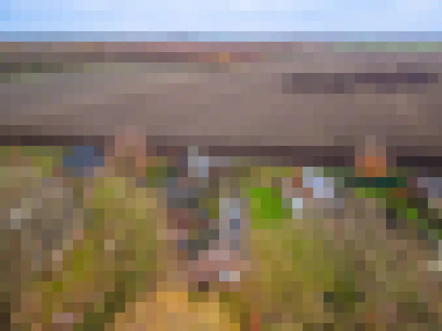 Dorpsstraat 64 Zuidlaarderveen thumbnail 83