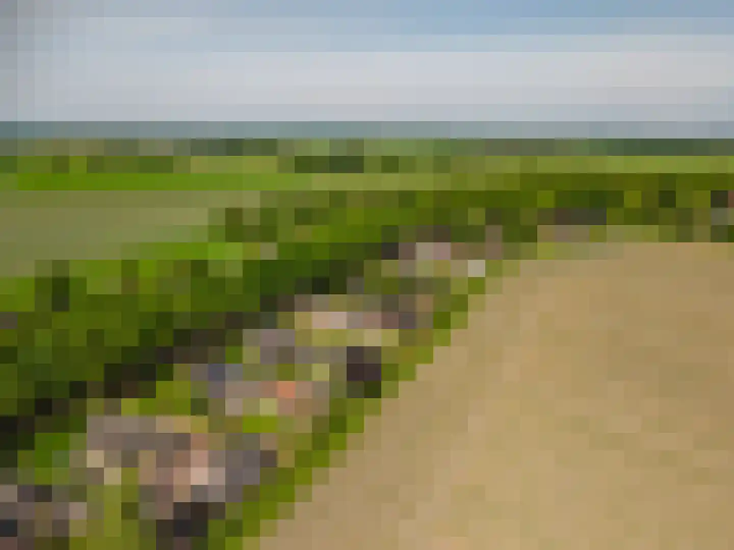 Dorpsstraat 64 Zuidlaarderveen thumbnail 88
