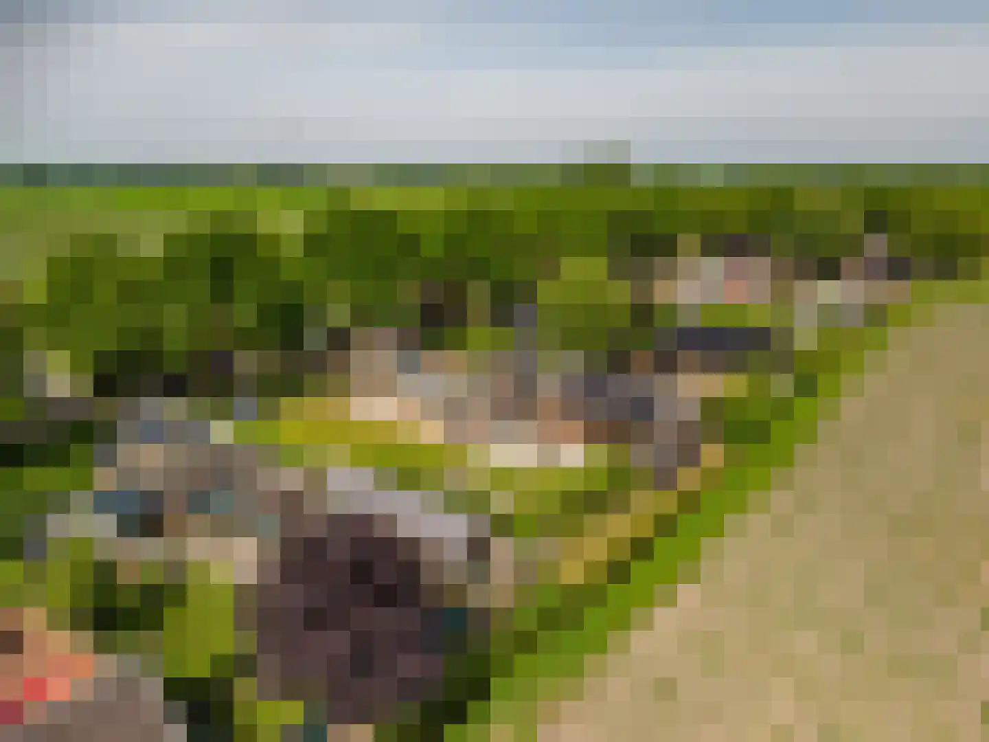 Dorpsstraat 64 Zuidlaarderveen thumbnail 89