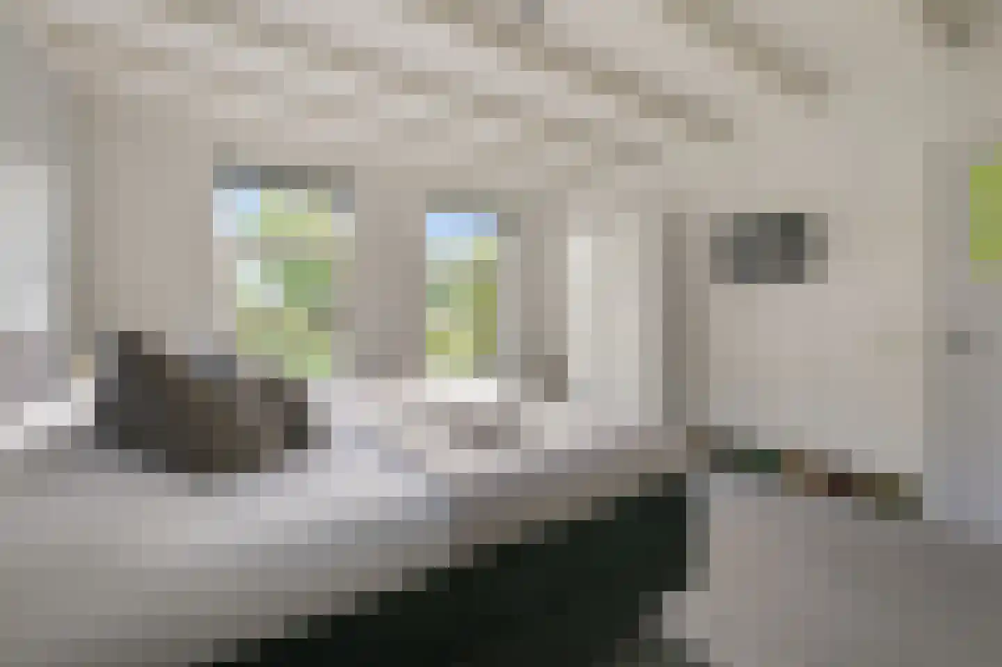 Dorpsstraat 641 Assendelft thumbnail 15