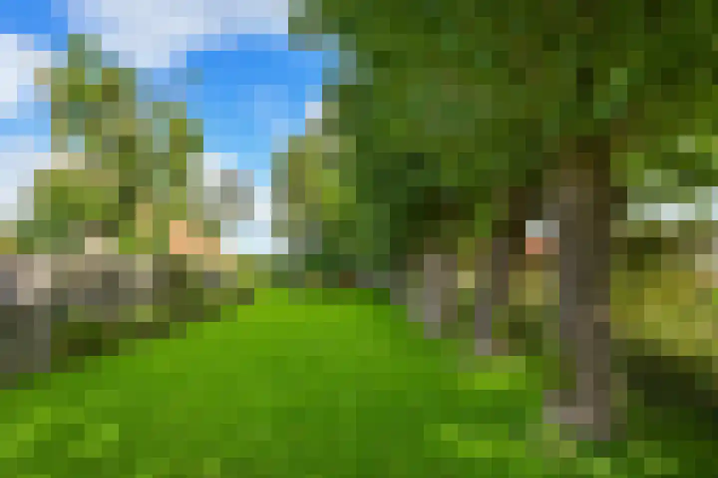 Dorpsstraat 641 Assendelft thumbnail 4