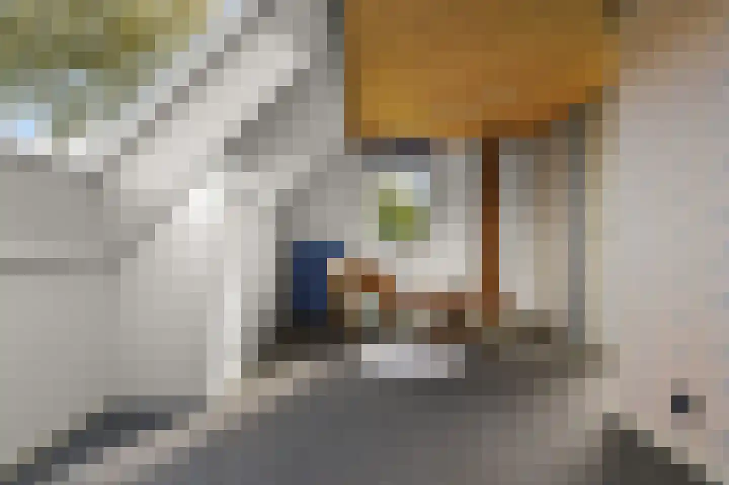Dorpsstraat 641 Assendelft thumbnail 42