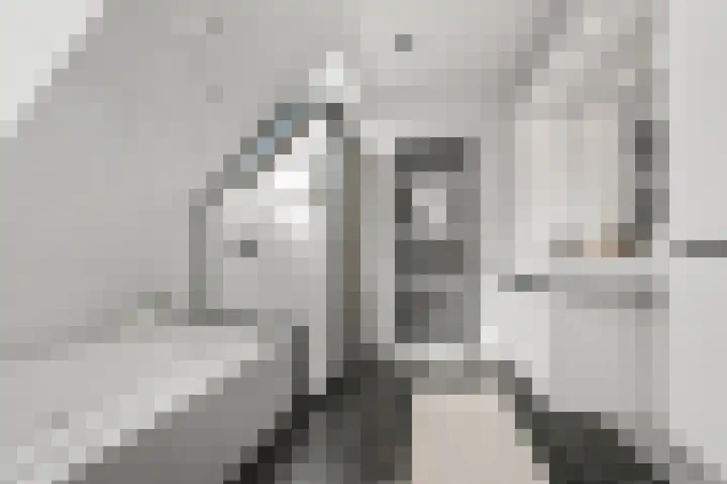 Dorpsstraat 641 Assendelft thumbnail 45