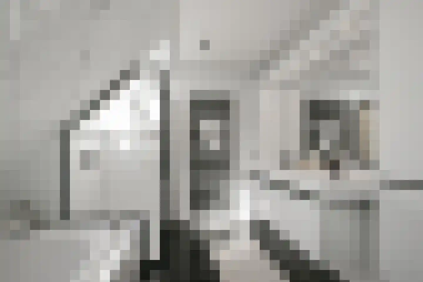 Dorpsstraat 641 Assendelft thumbnail 47