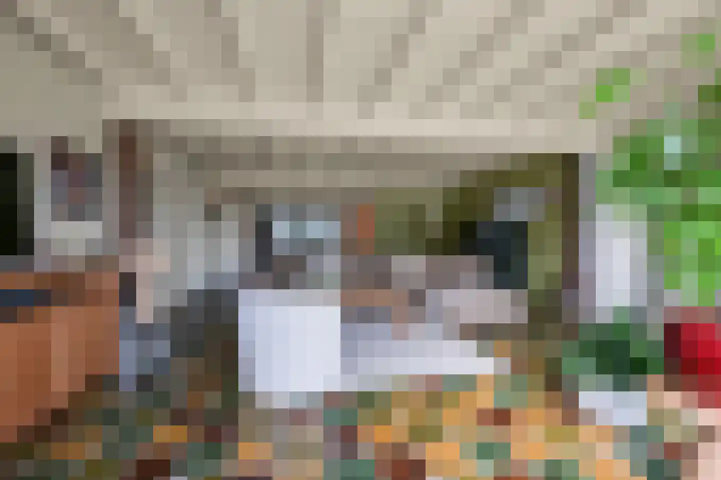 Dorpsstraat 641 Assendelft thumbnail 8