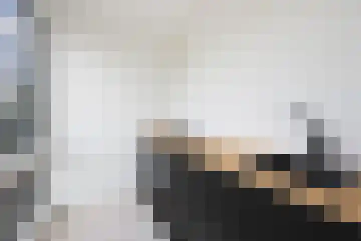Dorpsstraat 642 G Assendelft thumbnail 14