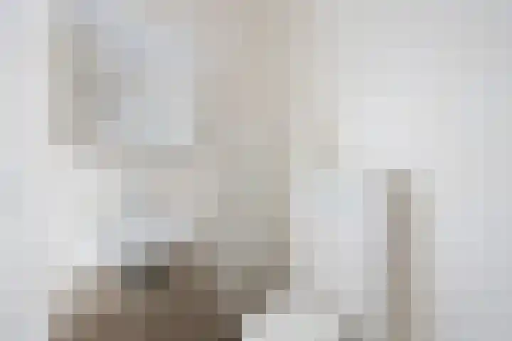 Dorpsstraat 642 G Assendelft thumbnail 20