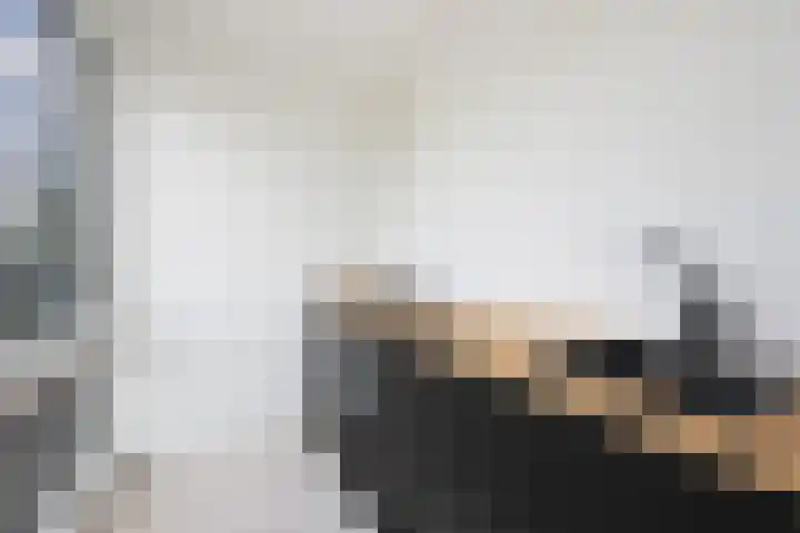 Dorpsstraat 642 G Assendelft thumbnail 4